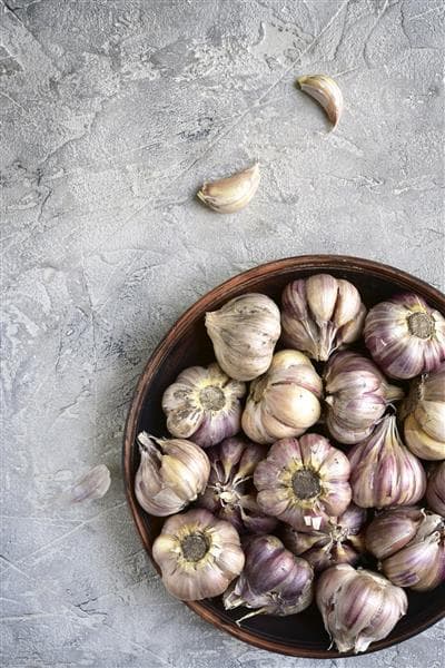 راهنمای خرید سیر کوهی خشک + قیمت عالی